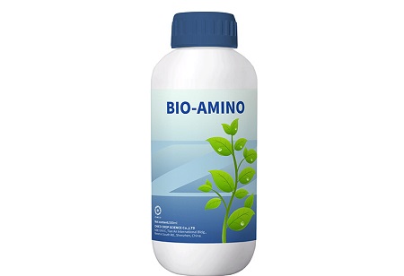 Kibunga cha Bio-Organic: Njia ya Baadaye ya Kilimo cha Kijani