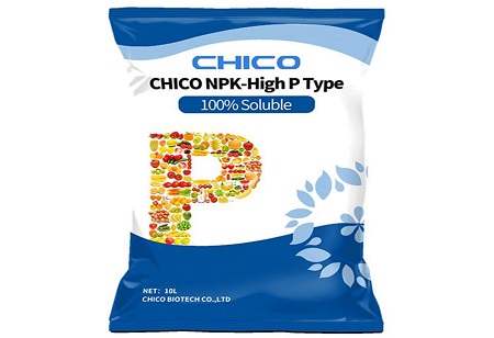 Kuna Tofauti Gani kati ya mbolea ya NPK Compound na mbolea ya NPK Soluble?