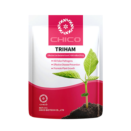 TRIHAMU®- Bio Trichoderma harzianum Biostimulant kwa Ugonjwa wa Mazao