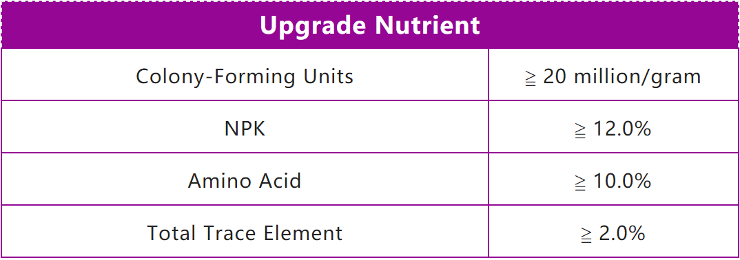 Seed Treatment Fungicide