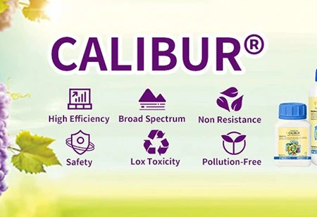 Jinsi ya kuzuia ugonjwa wa mazao wakati wa msimu wa mvua