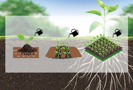 Arpha Dhahabu®- Kutumia Ukungu wa Faida kwa Kilimo Endelele