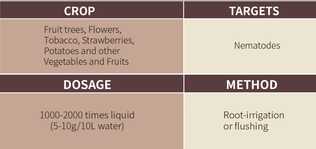 Efficiently_and_fast_control_nematodes_in_innovative_green_way_2.png Efficiently_and_fast_control_nematodes_in_innovative_green_way_2.png