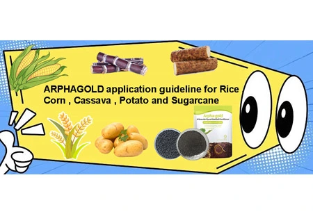 Mwongozo wa maombi ya ARPHAGOLD wa Mchele, mahindi, Muhoho, viazi na sukari?