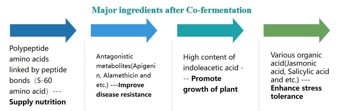 CHICO BIOAMINO<ALIMT >™</ALIMT> application guideline for different crop CHICO BIOAMINO<ALIMT >™</ALIMT> application guideline for different crop